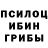 Галлюциногенные грибы ЛСД vasia rad