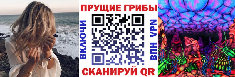 Галлюциногенные грибы GOLDEN TEACHER Скопин